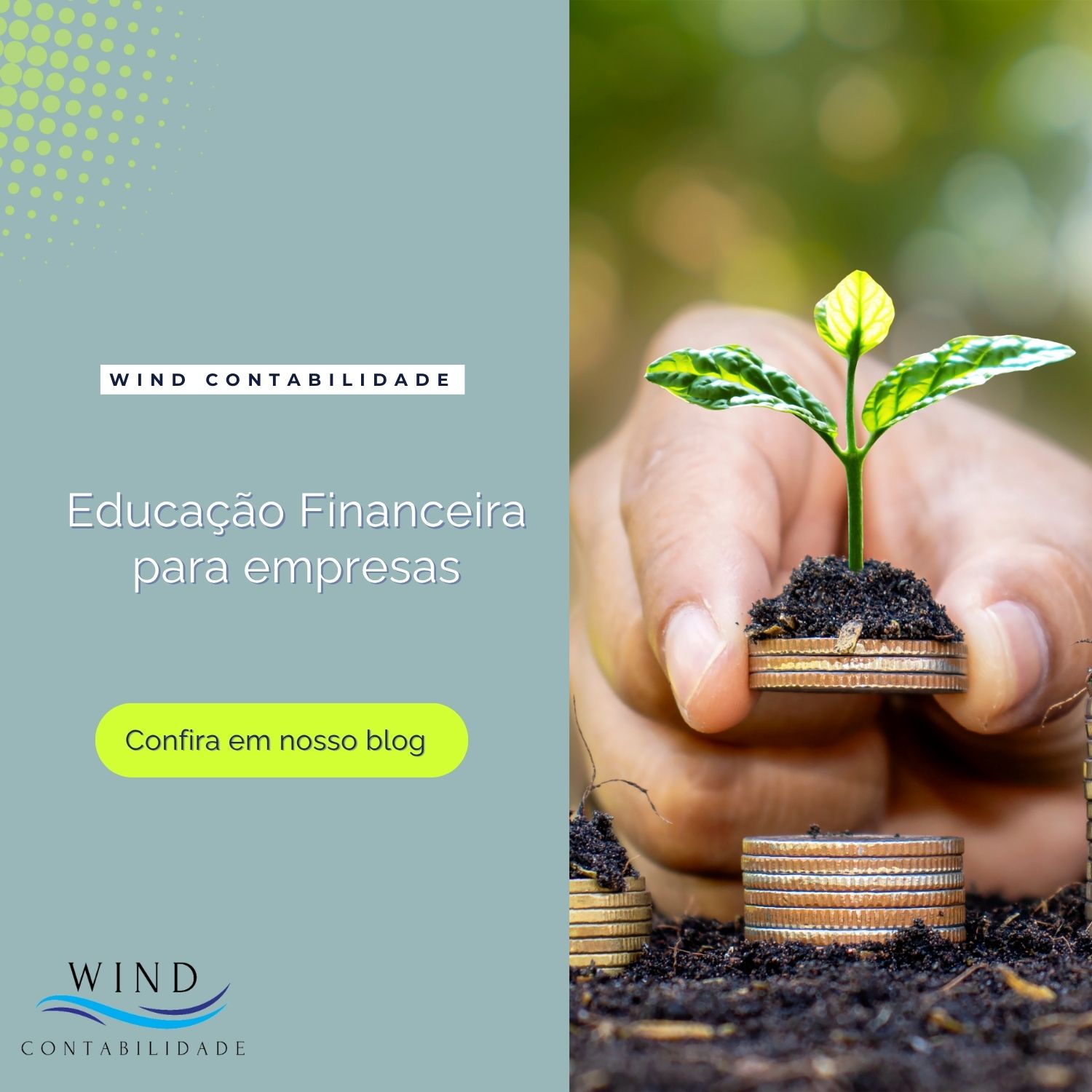 educação financeira para empresas - blog
